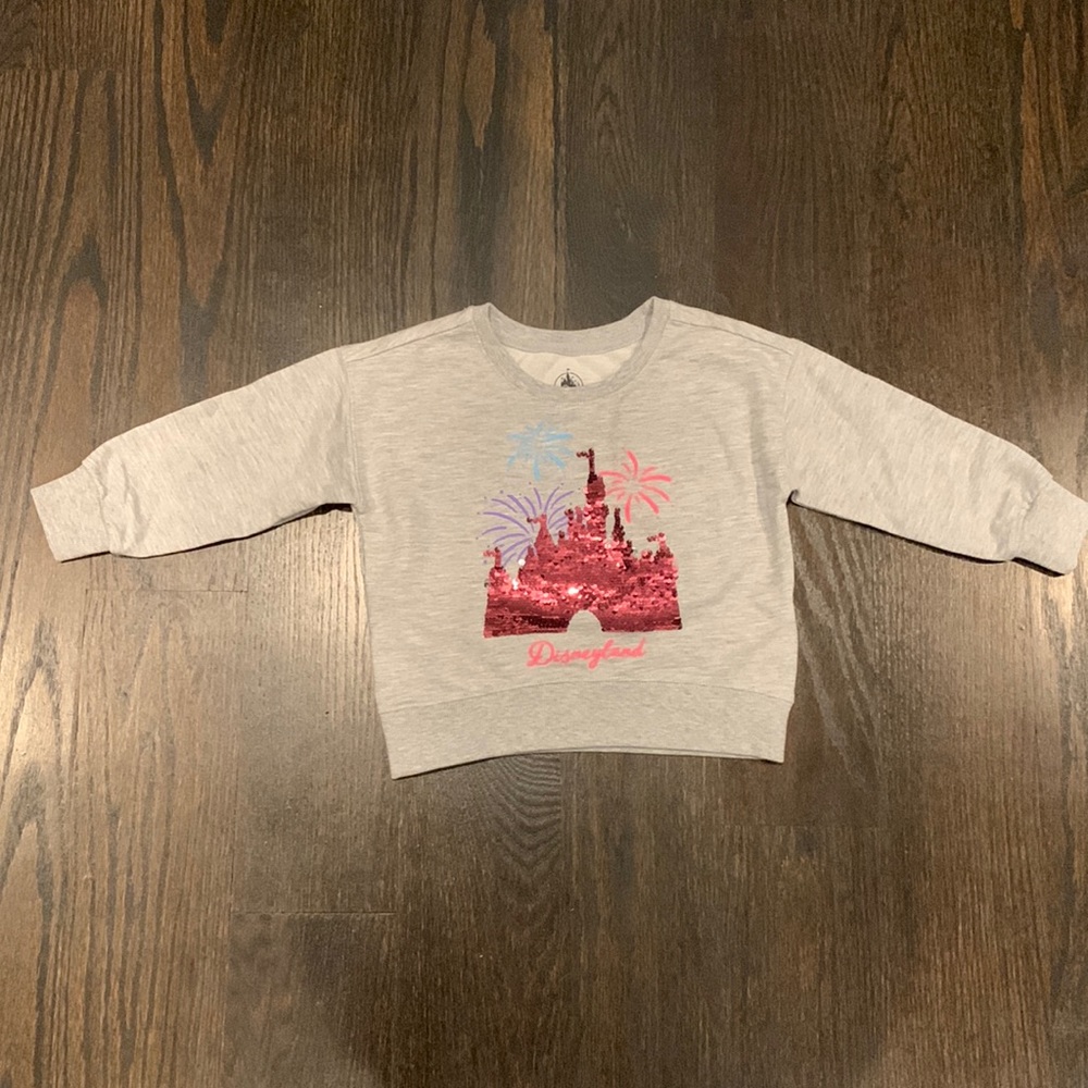 Disney land sweatshirt